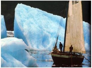 Roban cinco toneladas de hielo