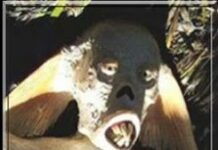 Vídeo Alienígena: Pescadores Rusos atraparon a un posible Extraterrestre… ¡Y se lo comieron! Vídeo Alienígena: Pescadores Rusos atraparon a un posible Extraterrestre... ¡Y se lo comieron!