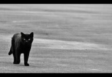 Cuando cagas 3 posibles relaciones con chicas en un mismo día. Cortesía de tus amigos…