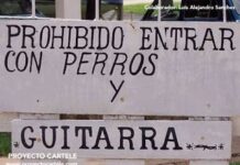 Las mejores fotos a carteles insólitos y graciosos.