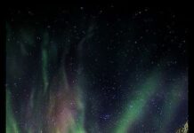 Se les Pagara a los Blogueros K