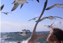 Nuevo Ataque a WordPress