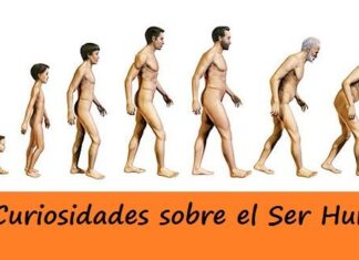 100 CURIOSIDADES sobre el SER HUMANO ¡Sorpréndete! Curiosidades sobre el Ser Humano