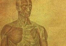 Seguridad sobre dos ruedas