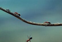 Caida impresionante (?)