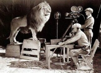 Leones de Metro-Goldwyn-Mayer.