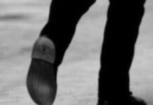 Fotos de los animalitos más lindos del mundo.