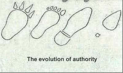 evolution funny pictures