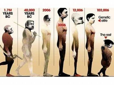 evolution funny pictures