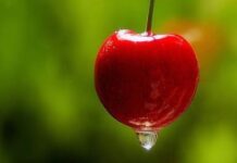 Donde editar fotos online. (Editor Online)