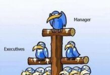 Fotos Graciosas: Jerarquia Laboral.