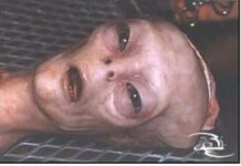 Aliens…. realidad o ficción?