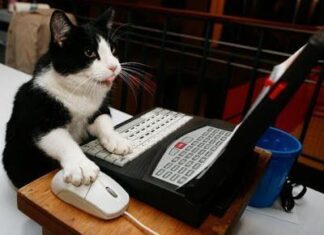 Animales adaptados a la tecnologia