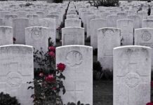 Cazadores de fantasmas de limpieza