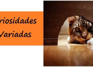 CURIOSIDADES Varias PARA COMPARTIR y Presumir curiosidades variadas