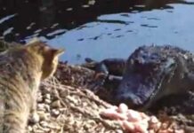 Errores que no deben cometerse en Blogger