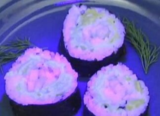 ¿Es necesario un canal de YouTube para potenciar tu blog? sushi con pescados luminosos