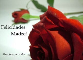 Ramos de flores como regalo para el día de la madre