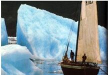 Roban cinco toneladas de hielo