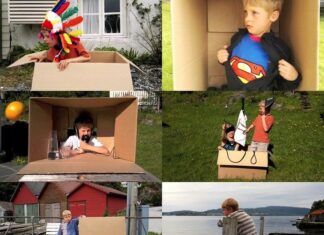 Las aventuras de la caja de cartón