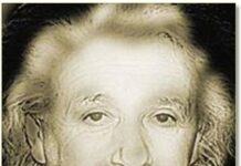 ¿Marilyn o Einstein?