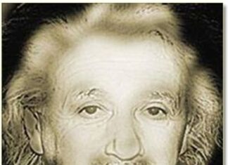 ¿Marilyn o Einstein?