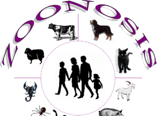 ¿Qué es la Zoonosis?