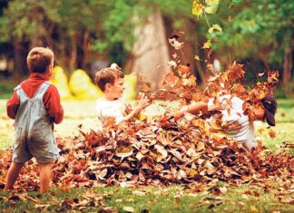 Los niños y la fotografía