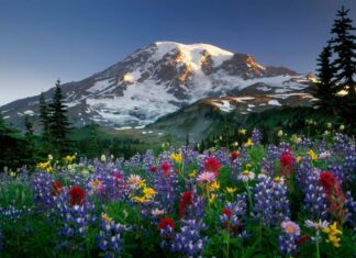 10 Fotos de Paisajes Naturales en HD