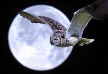 ¡No te quedes en la Edad de Piedra! Mejores Precios en Tecnología