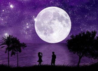 ¿Por qué no te puedes concentrar en nada cuando te enamoras? ¿Por qué no te puedes concentrar en nada cuando te enamoras?