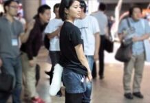 Colas de Perros para Humanos