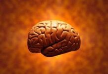 120 formas de Aumentar tu Poder Mental