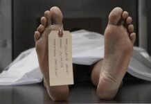 Las Diez Muertes Más Tontas de la Historia Las Diez Muertes Más Tontas de la Historia