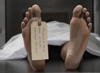 Las Diez Muertes Más Tontas de la Historia Las Diez Muertes Más Tontas de la Historia