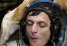 Datos curiosos sobre comidas comunes