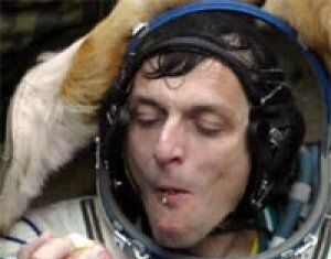 Datos curiosos sobre comidas comunes