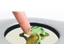 Curiosidades de los Video Proyectores proyector