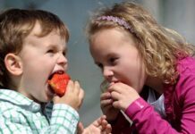 Día Mundial de la Alimentación Día Mundial de la Alimentación