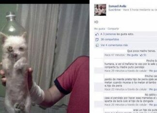 Un Perro Metido en una Botella causa revuelo en Facebook Un Perro Metido en una Botella causa revuelo en Facebook