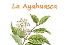 La Ayahuasca y el Cáncer La Ayahuasca