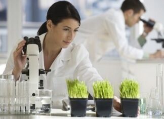 ¿Cuál es el origen de las Materias Primas de la Homeopatía? materias primas homeopatia