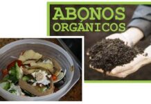 ¿Cómo Hacer «Compost Casero» para tu Jardín? hacer compost casero