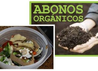 ¿Cómo Hacer «Compost Casero» para tu Jardín? hacer compost casero