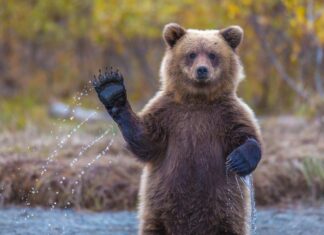 Fotografía De National Geographic 2014