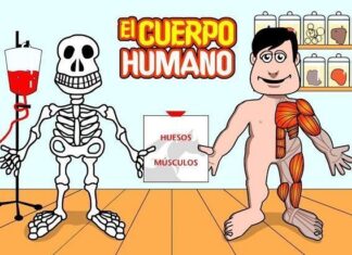 25 Curiosidades del Cuerpo Humano curiosidades sobre el cuerpo humano
