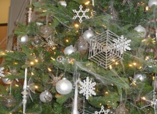 Curiosas Tradiciones NAVIDEÑAS