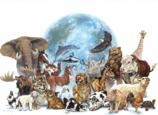 120 CURIOSIDADES Muy Curiosas Sobre El Reino ANIMAL