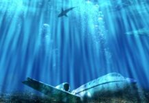 El enigma del Triángulo de las Bermudas… ¿resuelto?