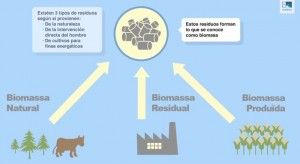 central electrica de biomasa - como funciona